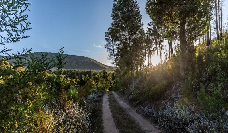 3 Bedroom Property for Sale in Plettenberg Bay Rural Western Cape